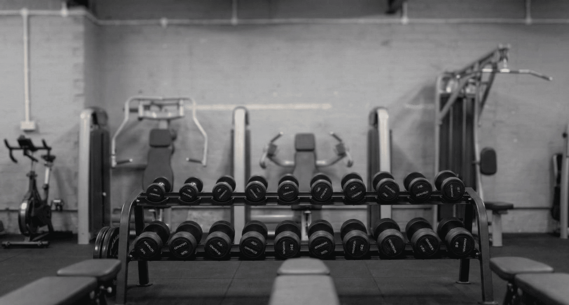 Peak Physique dumbbell area